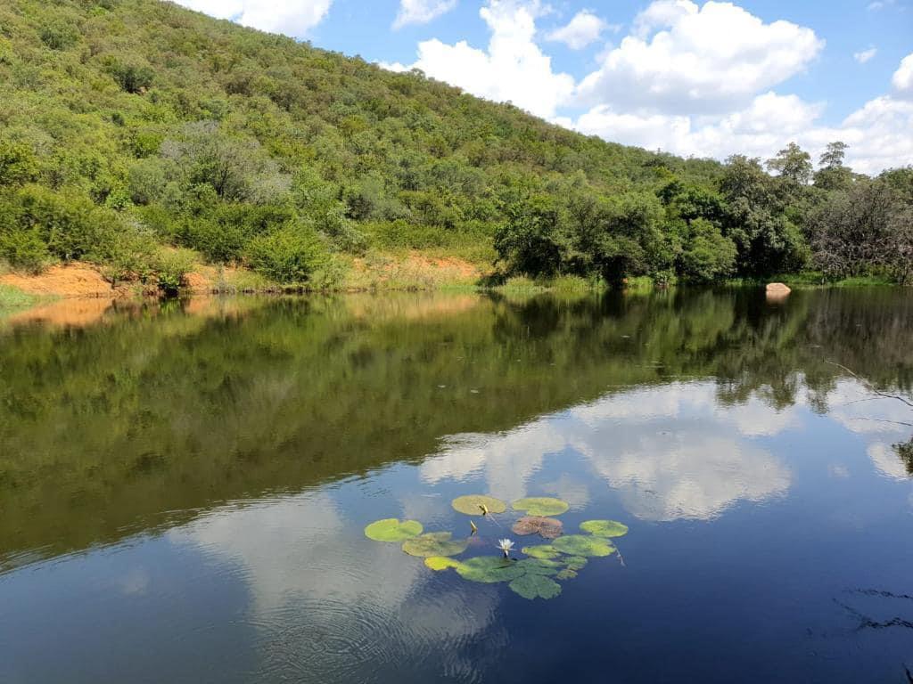 0 Bedroom Property for Sale in Vaalwater Limpopo