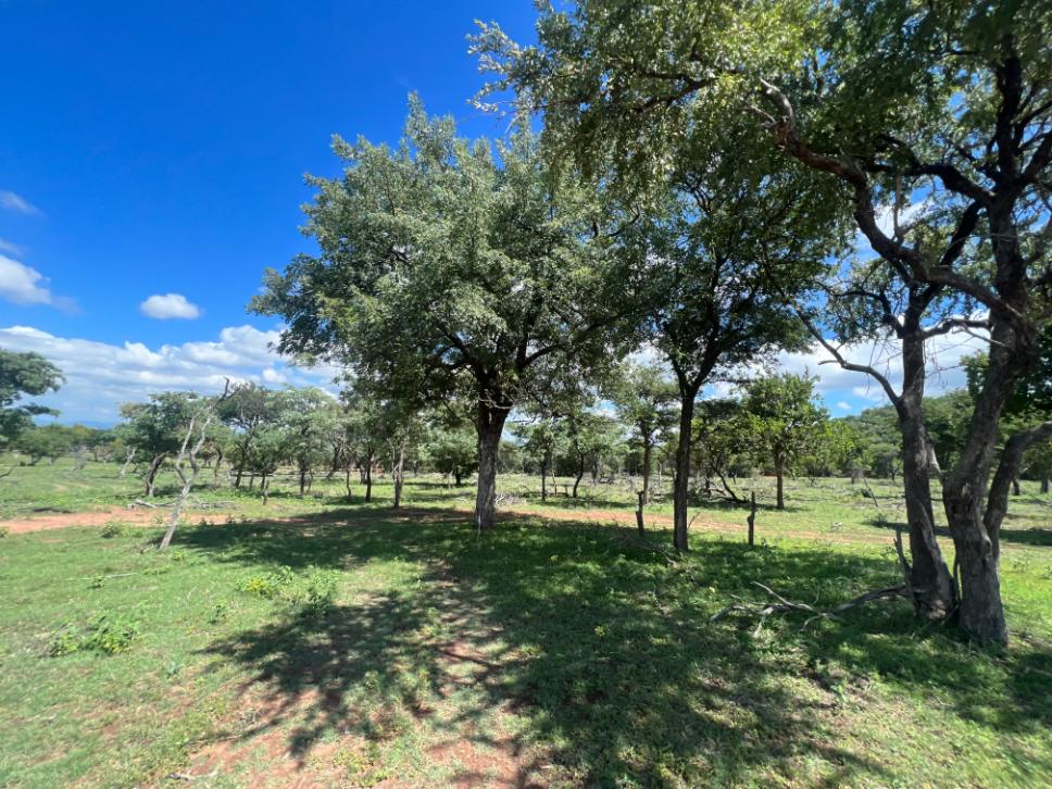 0 Bedroom Property for Sale in Rooiberg Limpopo