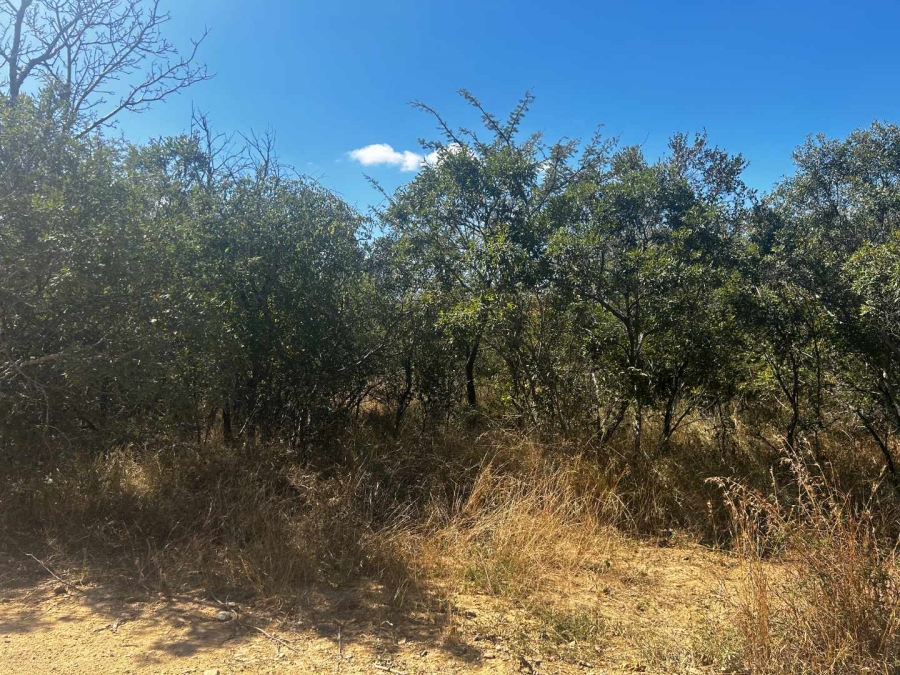 0 Bedroom Property for Sale in Moditlo Nature Reserve Limpopo