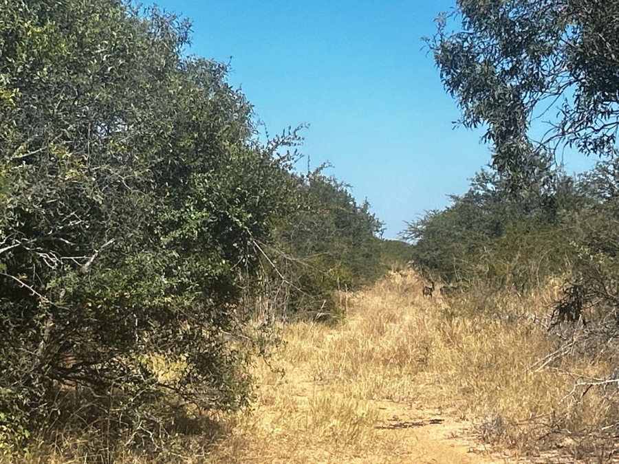 0 Bedroom Property for Sale in Moditlo Nature Reserve Limpopo