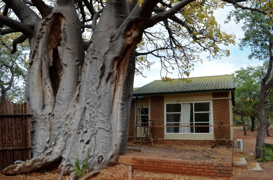 10 Bedroom Property for Sale in Musina Limpopo