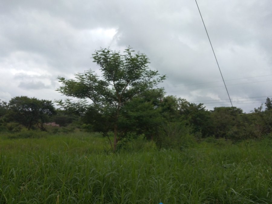  Bedroom Property for Sale in Tzaneen Rural Limpopo