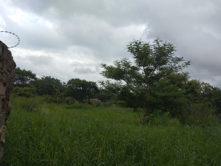  Bedroom Property for Sale in Tzaneen Rural Limpopo