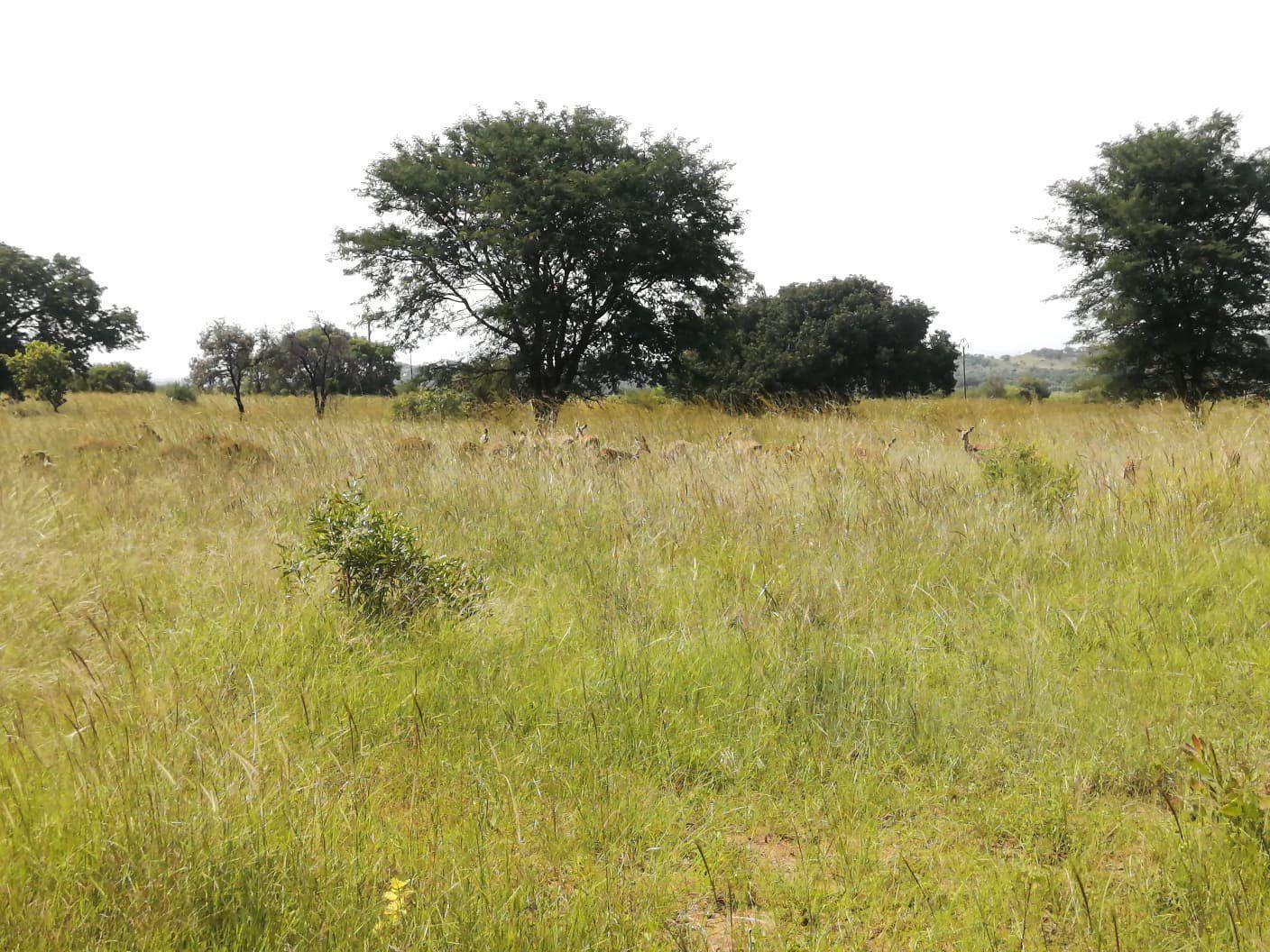  Bedroom Property for Sale in Bela Bela Limpopo