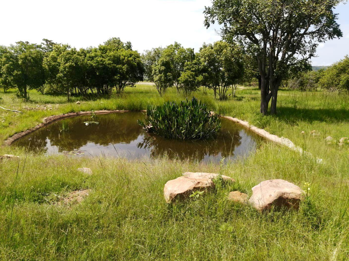  Bedroom Property for Sale in Bela Bela Limpopo