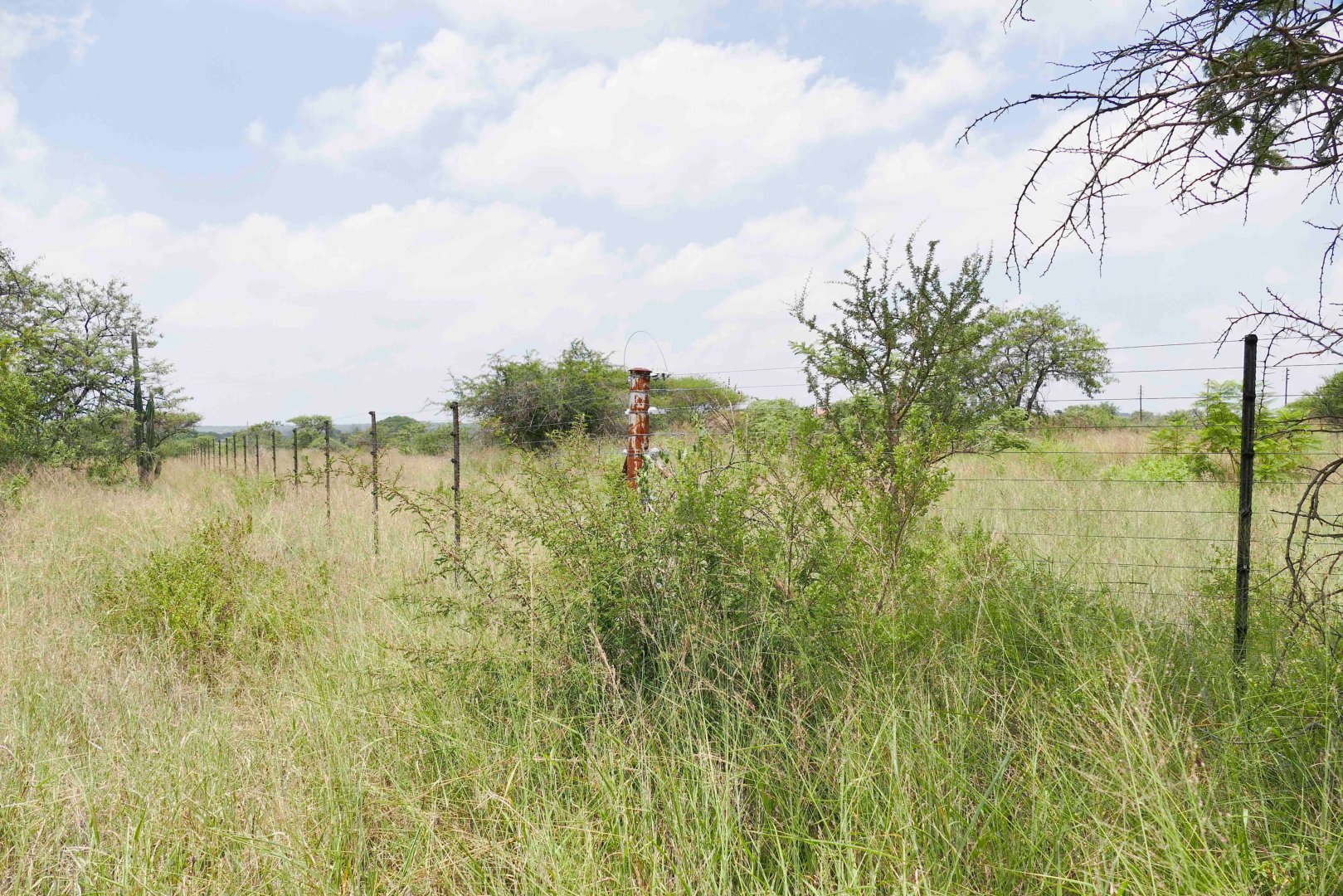  Bedroom Property for Sale in Baskoppies A H Limpopo