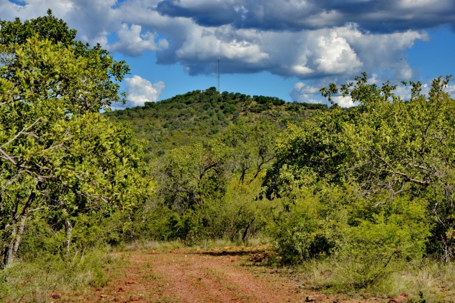 10 Bedroom Property for Sale in Thabazimbi Rural Limpopo