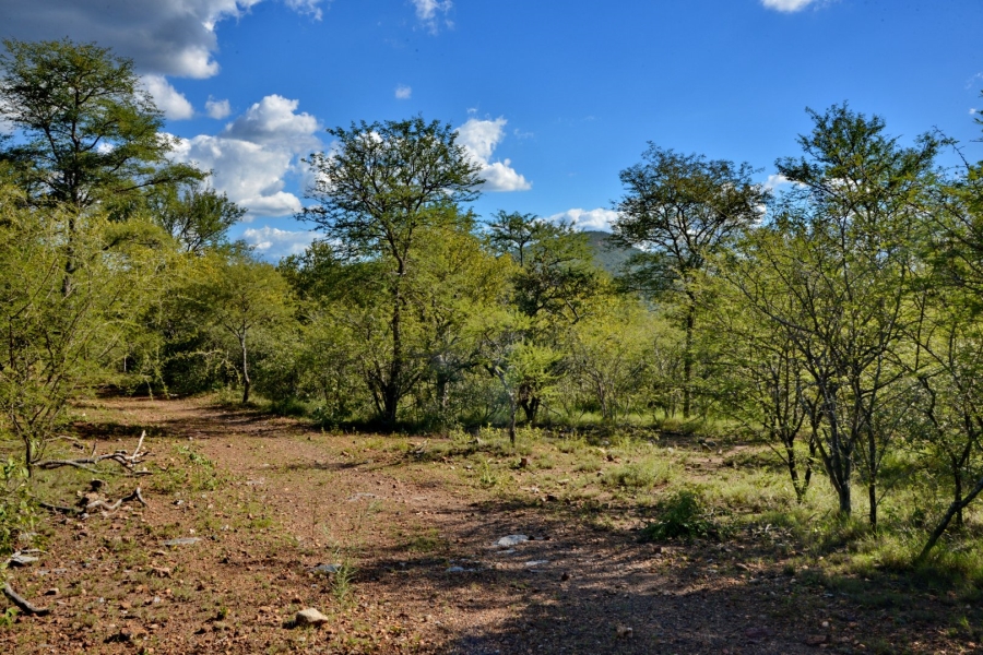 10 Bedroom Property for Sale in Thabazimbi Rural Limpopo