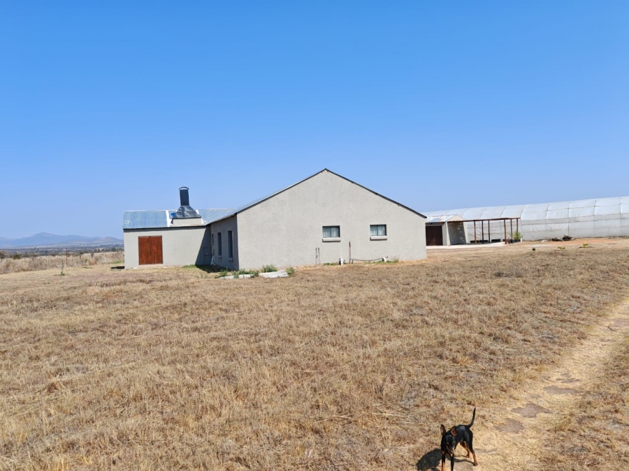 4 Bedroom Property for Sale in Wildebeestfontein A H Limpopo