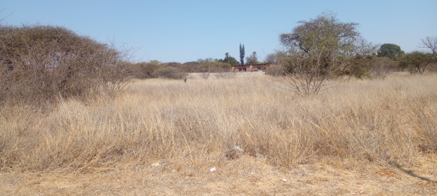  Bedroom Property for Sale in Bendor Limpopo