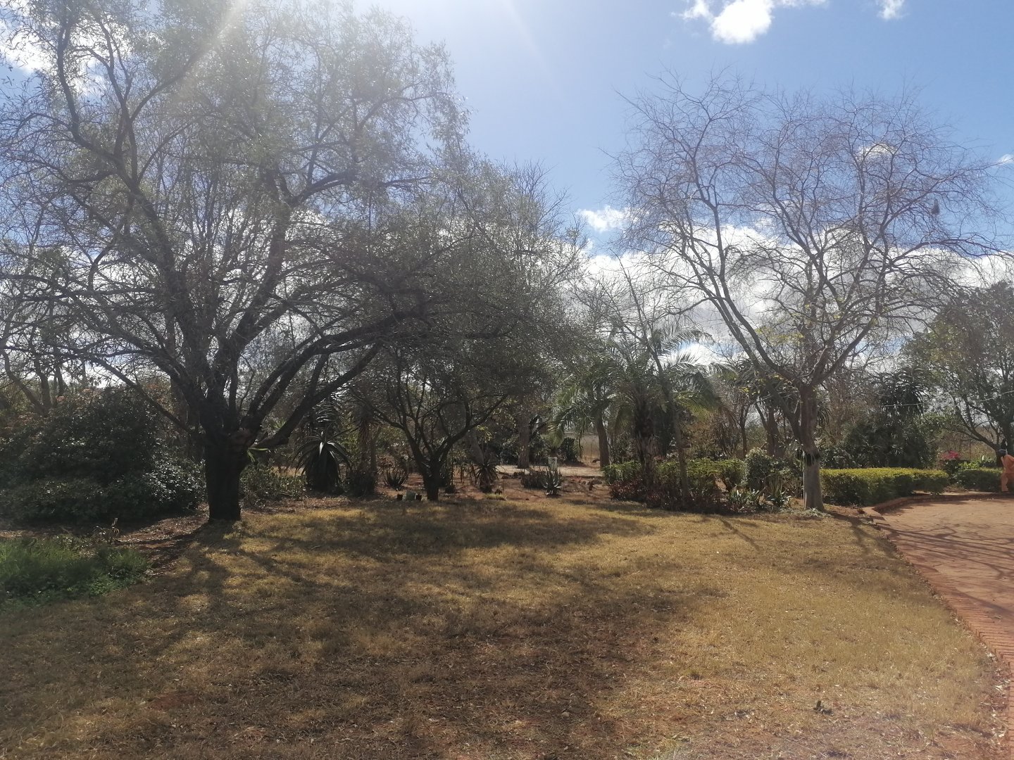 3 Bedroom Property for Sale in Baskoppies A H Limpopo
