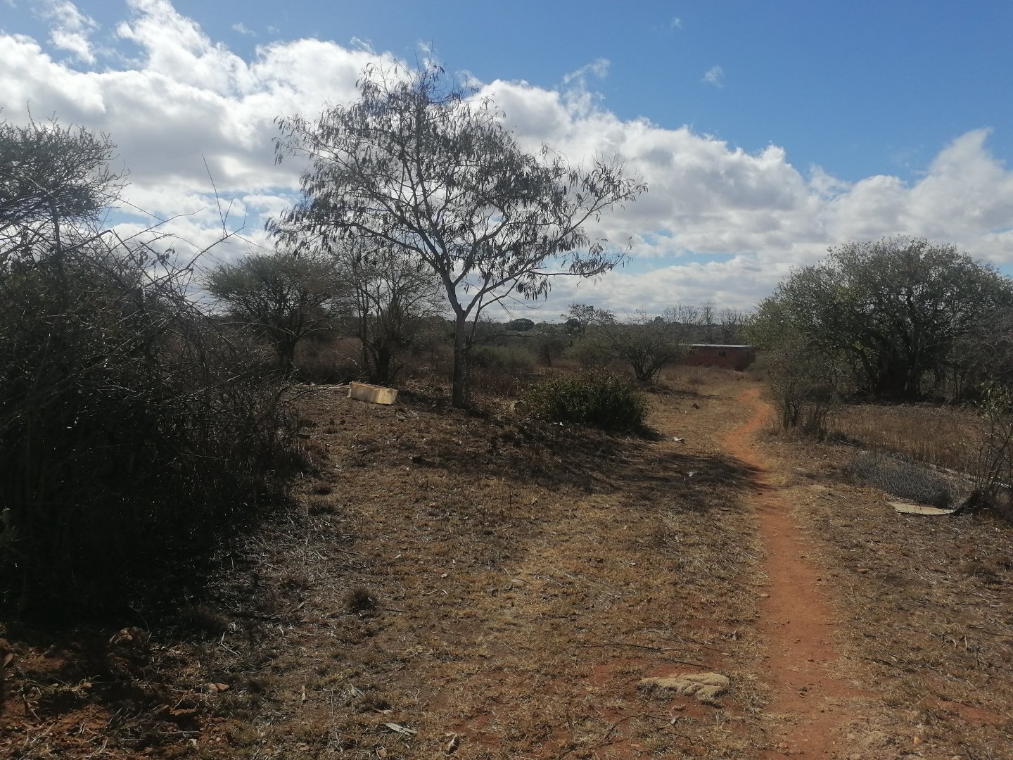 3 Bedroom Property for Sale in Baskoppies A H Limpopo