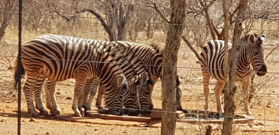 4 Bedroom Property for Sale in Northam Rural Limpopo