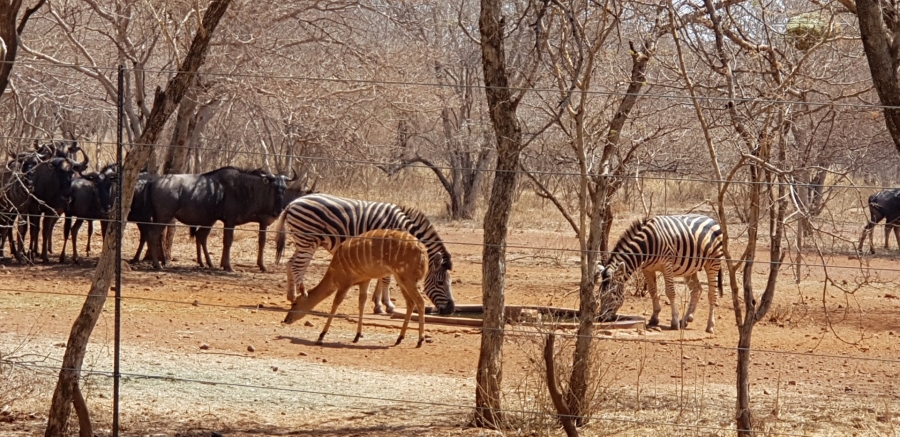 4 Bedroom Property for Sale in Northam Rural Limpopo