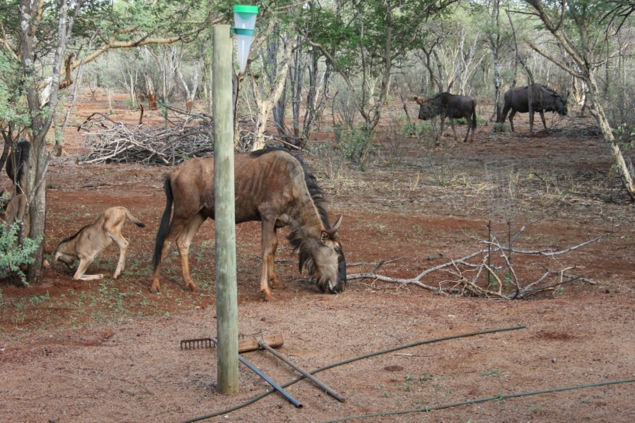  Bedroom Property for Sale in Northam Limpopo