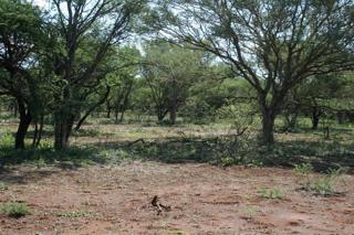  Bedroom Property for Sale in Northam Limpopo