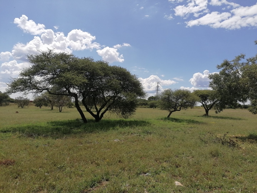  Bedroom Property for Sale in Bendor Limpopo