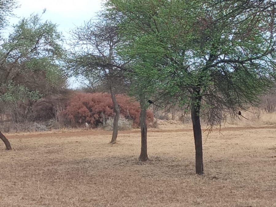  Bedroom Property for Sale in Groblersdal Rural Limpopo