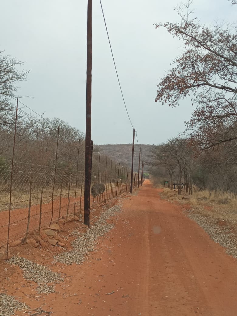  Bedroom Property for Sale in Groblersdal Rural Limpopo