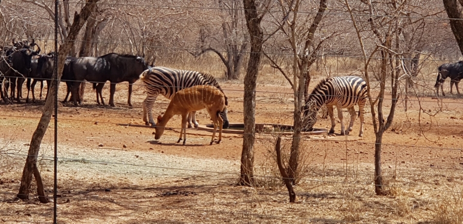  Bedroom Property for Sale in Northam Rural Limpopo