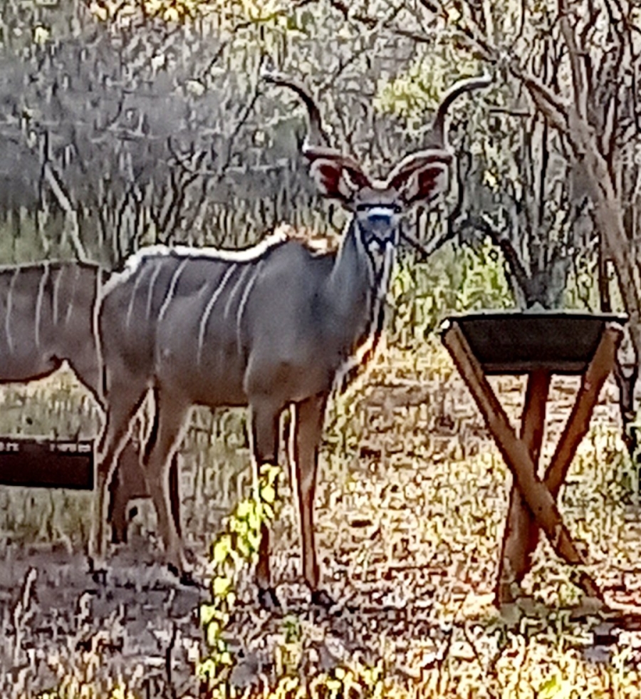  Bedroom Property for Sale in Northam Rural Limpopo