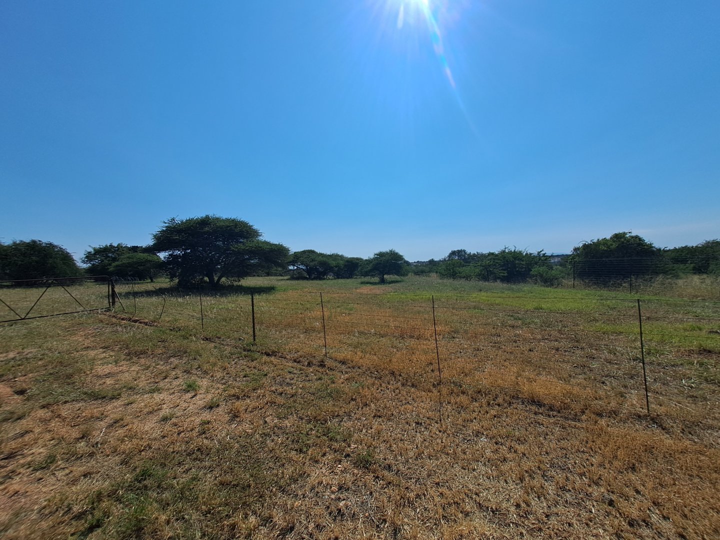  Bedroom Property for Sale in Bendor Limpopo