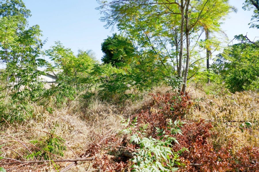 0 Bedroom Property for Sale in Polokwane Central Limpopo