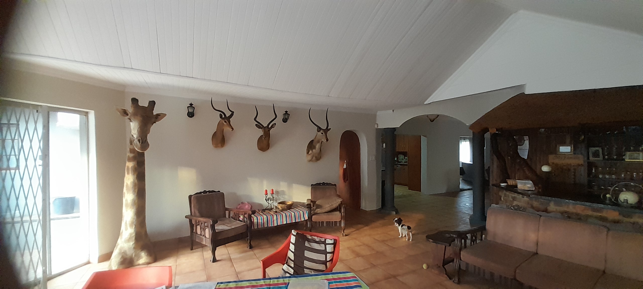 To Let 5 Bedroom Property for Rent in Impala Park Limpopo