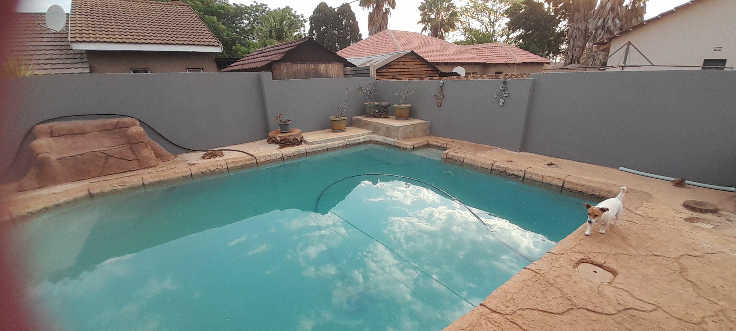 To Let 5 Bedroom Property for Rent in Impala Park Limpopo