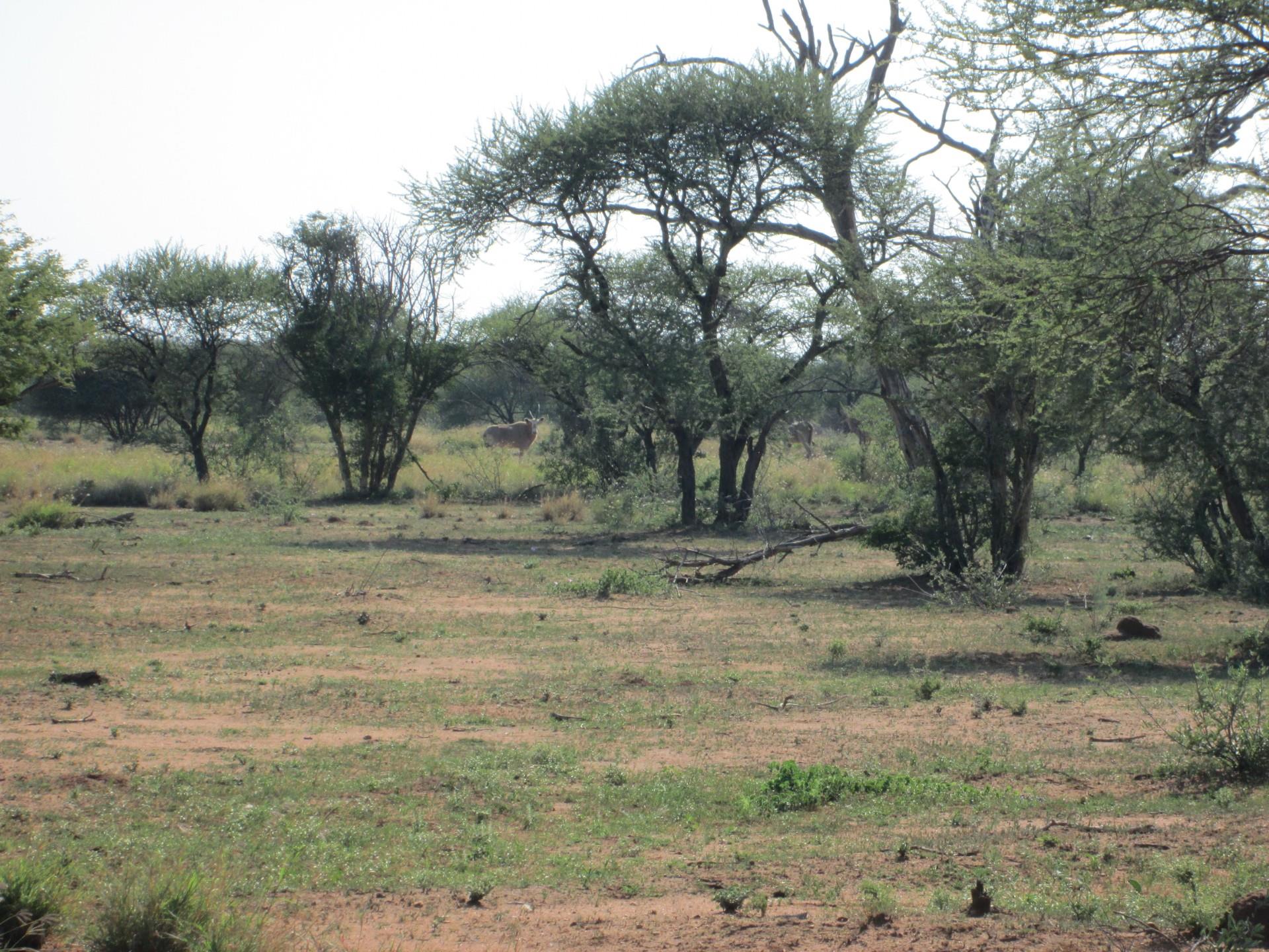 Commercial Property for Sale in Northam Limpopo