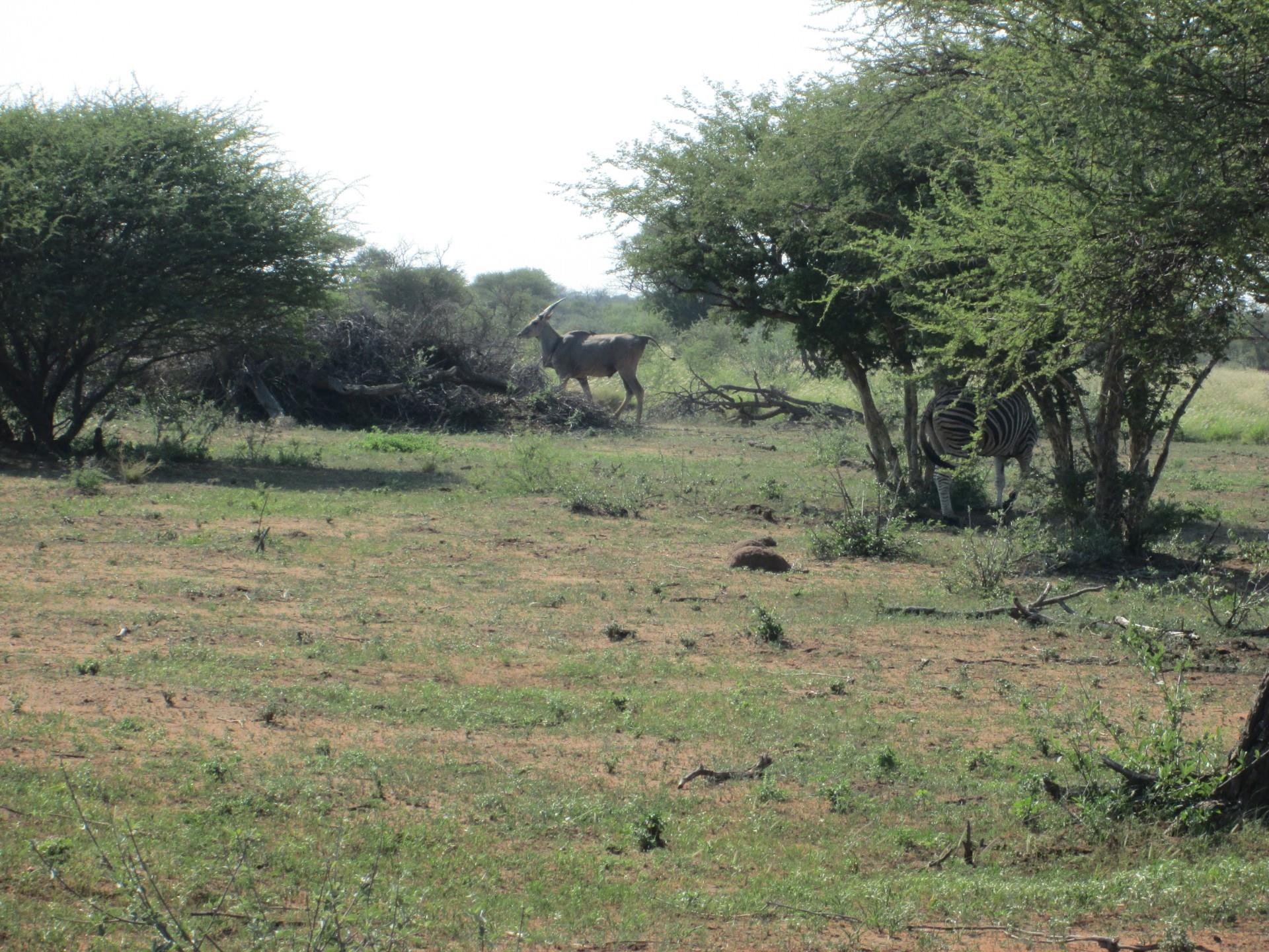 Commercial Property for Sale in Northam Limpopo