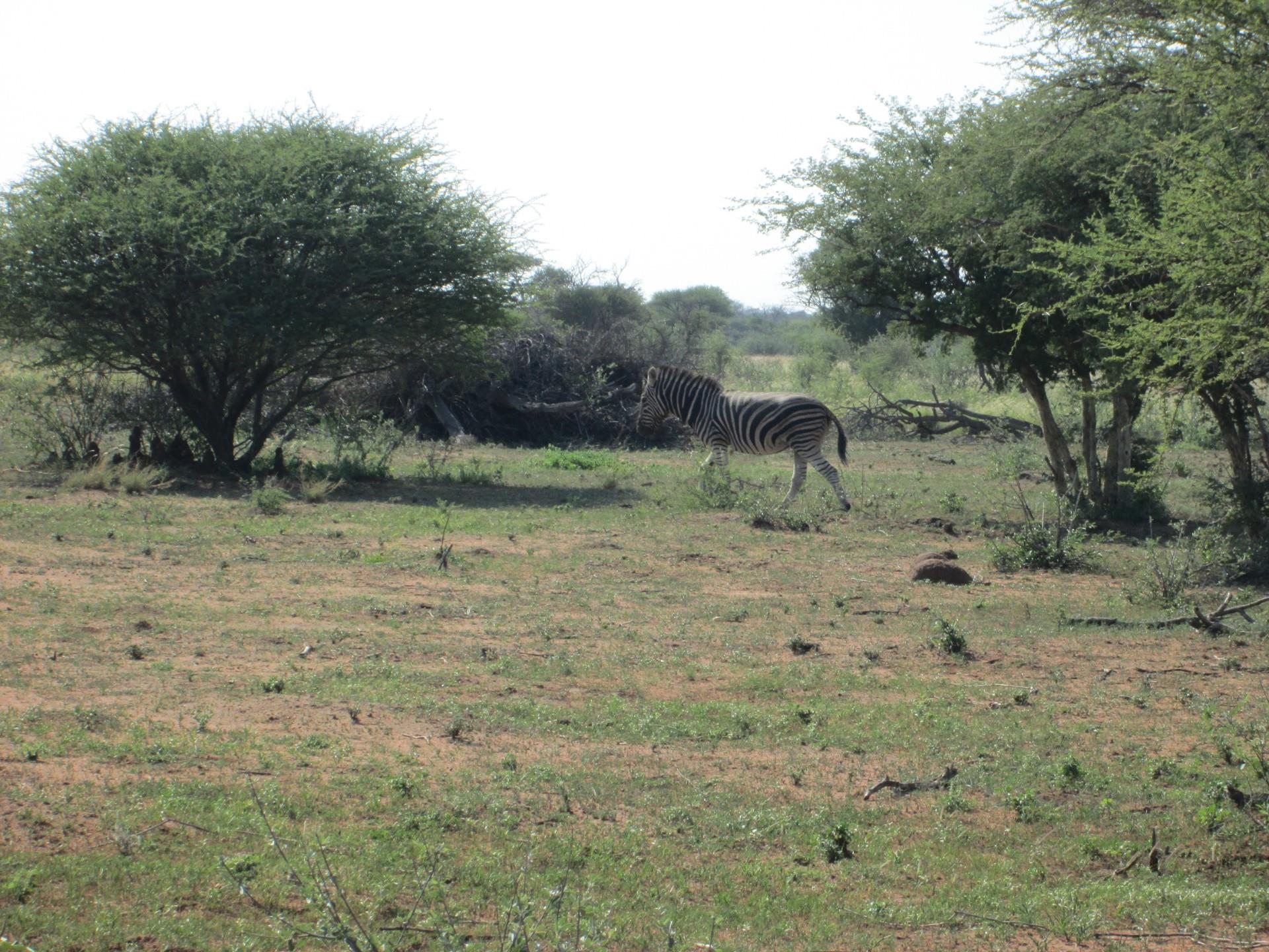Commercial Property for Sale in Northam Limpopo