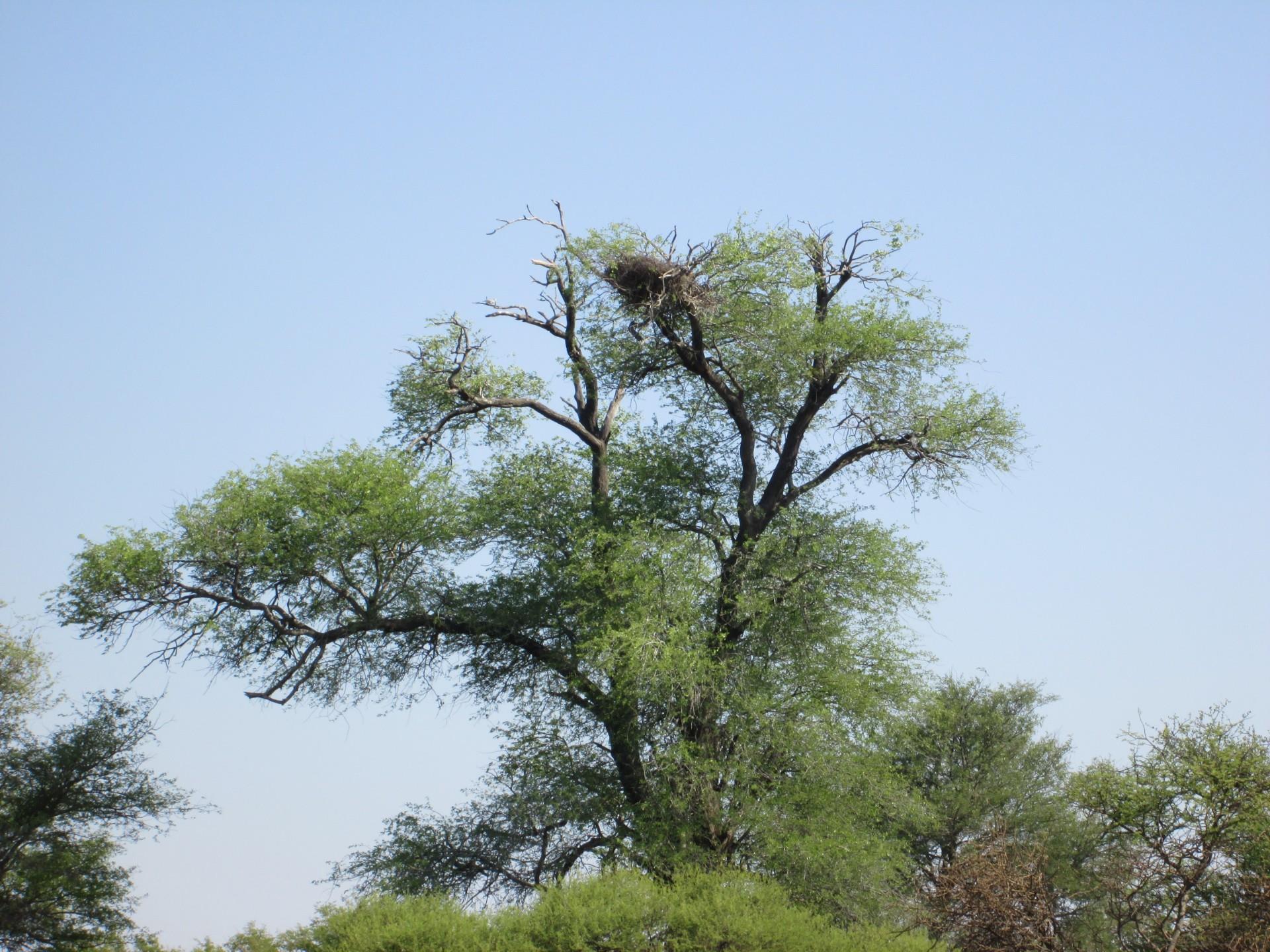 Commercial Property for Sale in Northam Limpopo