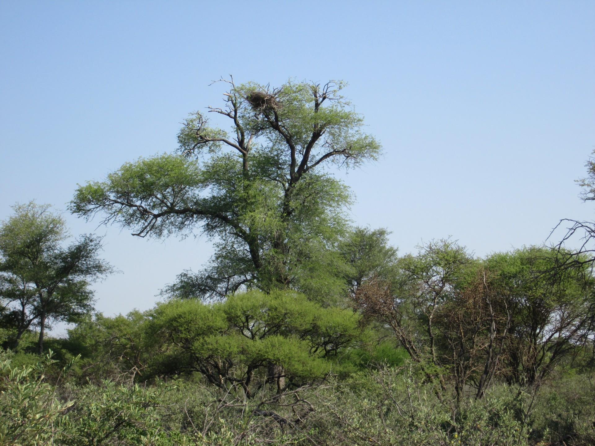 Commercial Property for Sale in Northam Limpopo