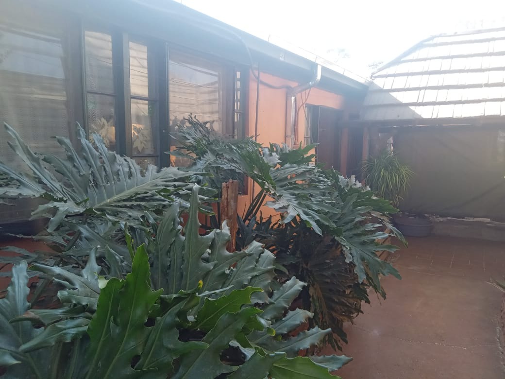 4 Bedroom Property for Sale in Thabazimbi Limpopo