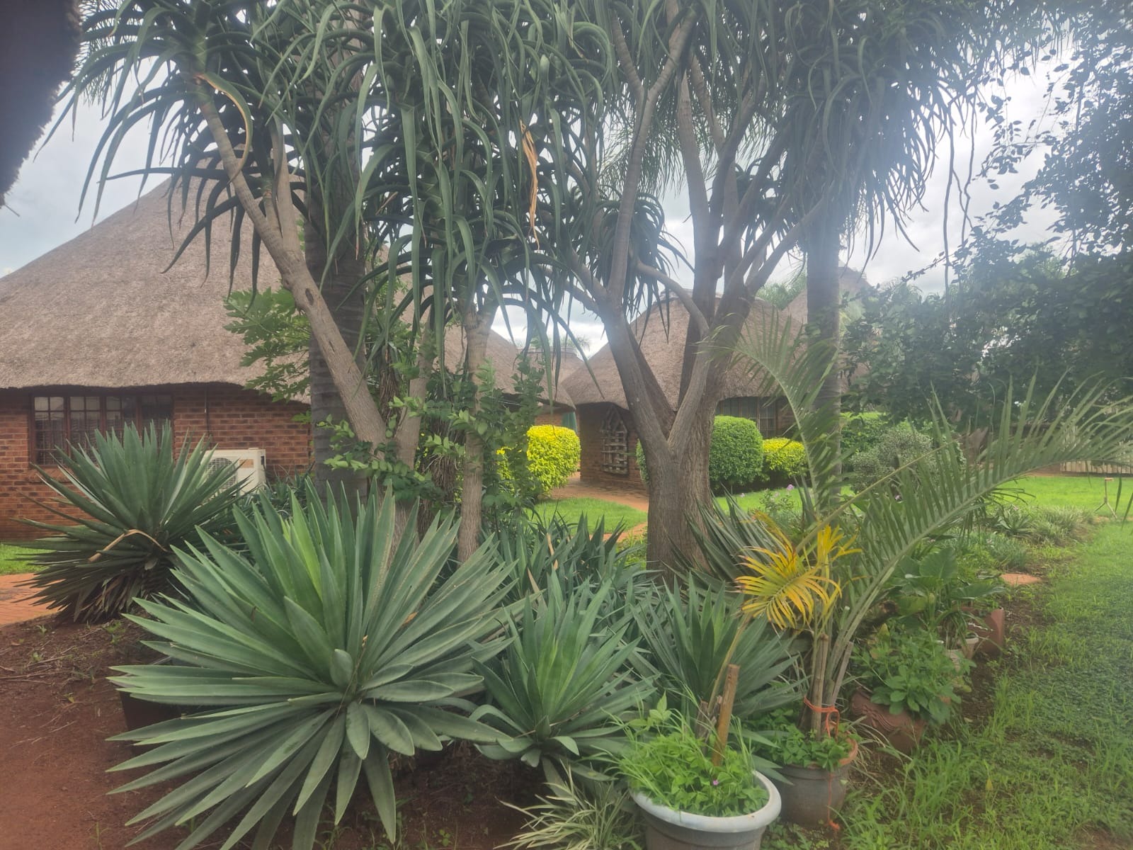 4 Bedroom Property for Sale in Bela Bela Limpopo