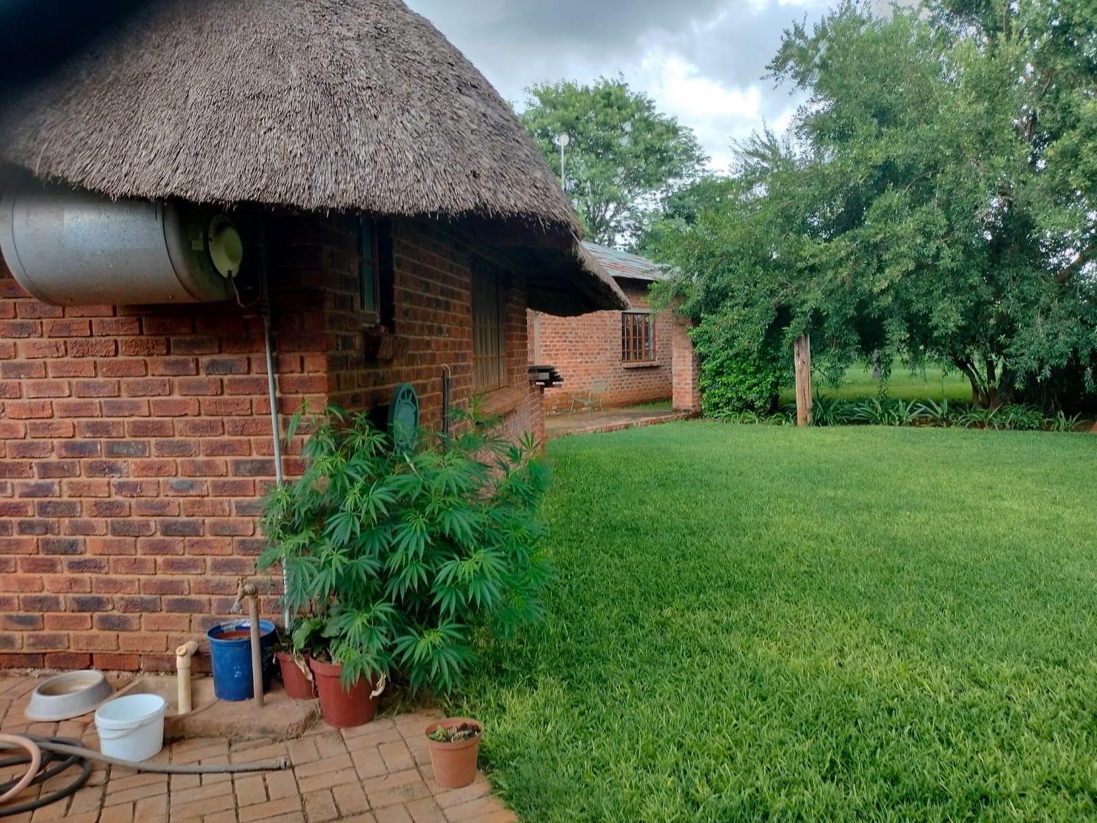 4 Bedroom Property for Sale in Bela Bela Limpopo