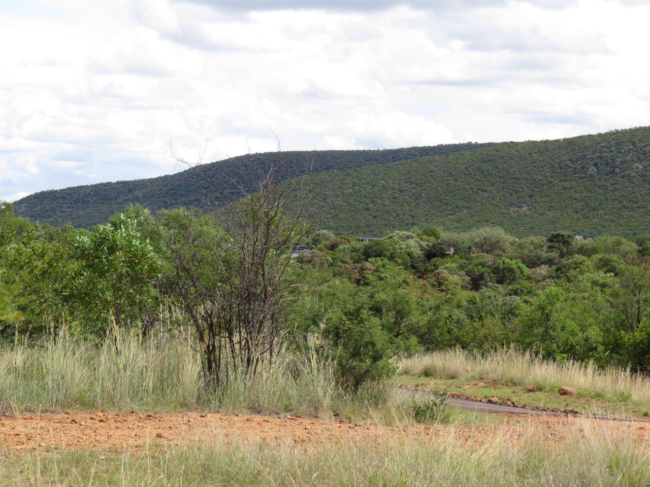 0 Bedroom Property for Sale in Zwartkloof Private Game Reserve Limpopo