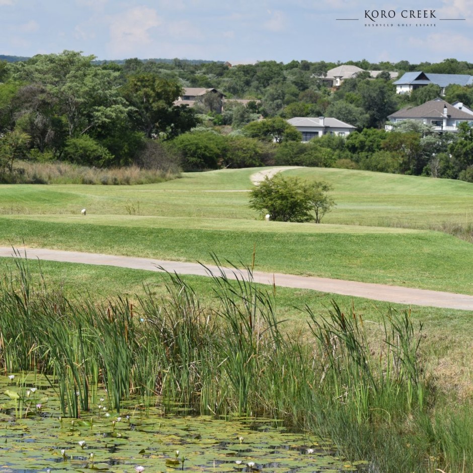 0 Bedroom Property for Sale in Koro Creek Golf Estate Limpopo