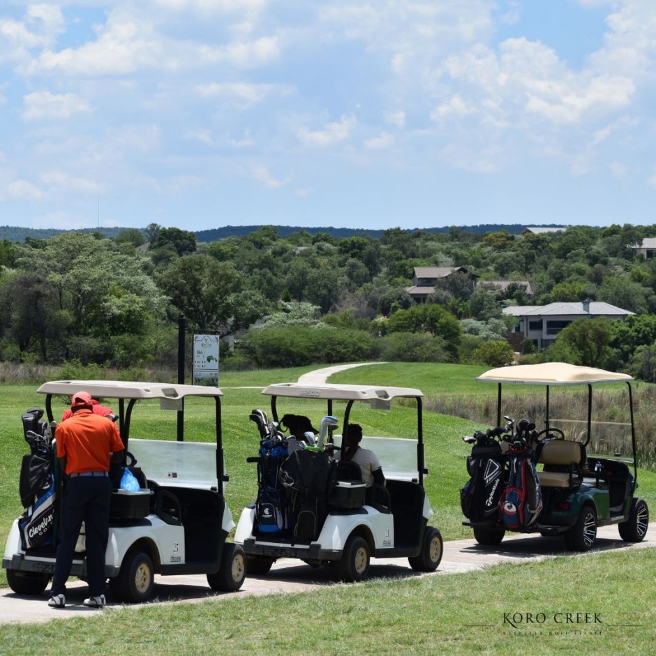 0 Bedroom Property for Sale in Koro Creek Golf Estate Limpopo