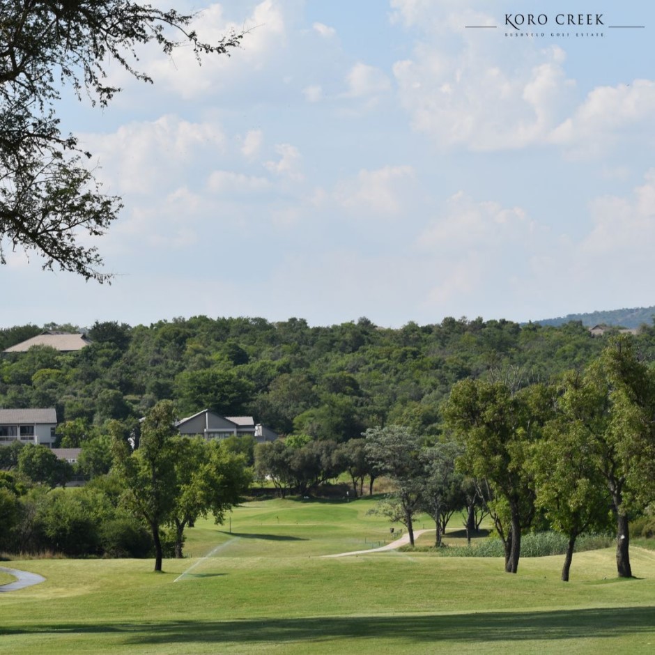 0 Bedroom Property for Sale in Koro Creek Golf Estate Limpopo