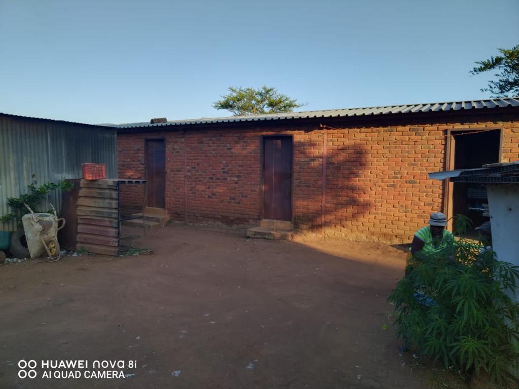 To Let 0 Bedroom Property for Rent in Levubu Limpopo