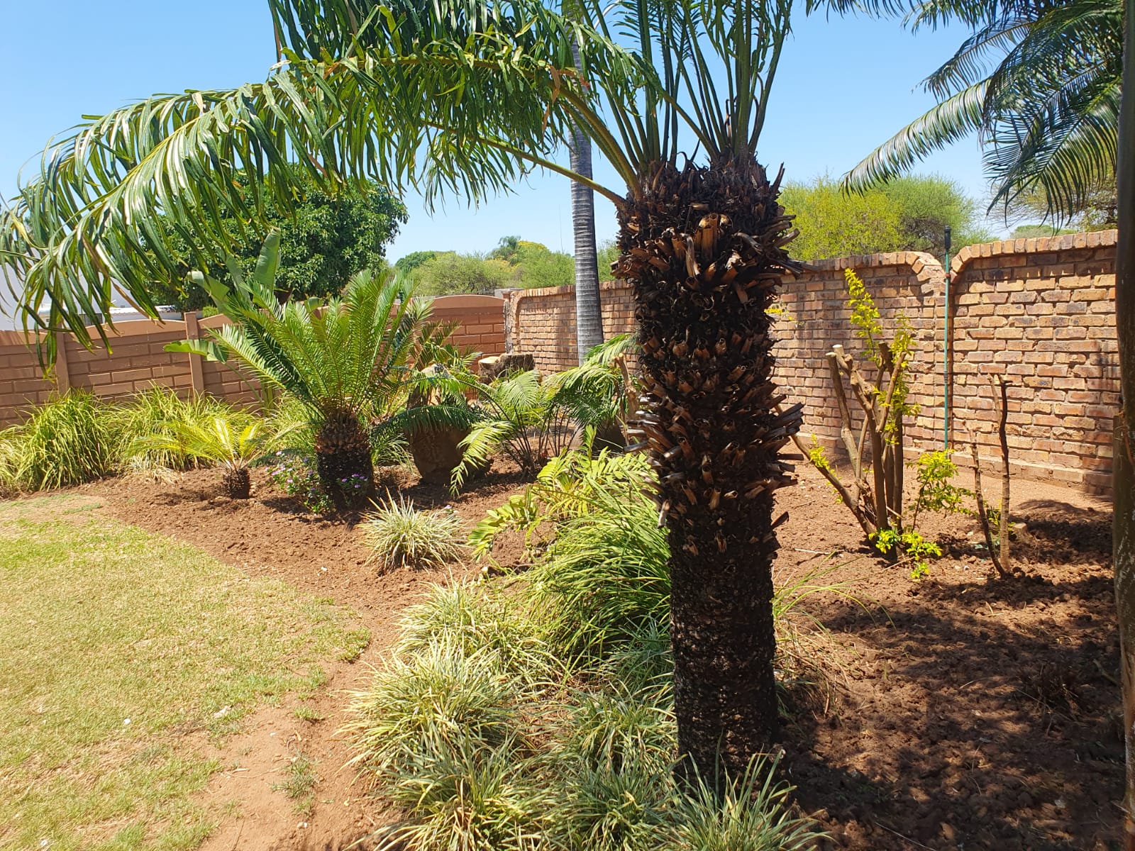 3 Bedroom Property for Sale in Marble Hall Limpopo