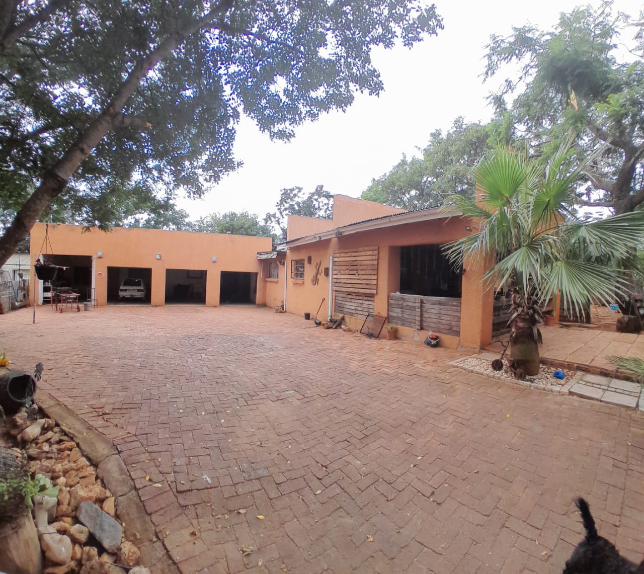 12 Bedroom Property for Sale in Ivydale A H Limpopo