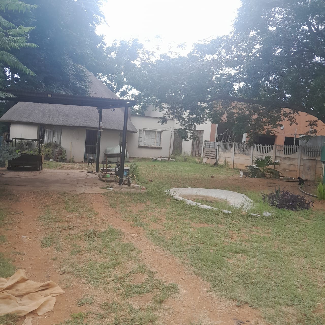 12 Bedroom Property for Sale in Ivydale A H Limpopo