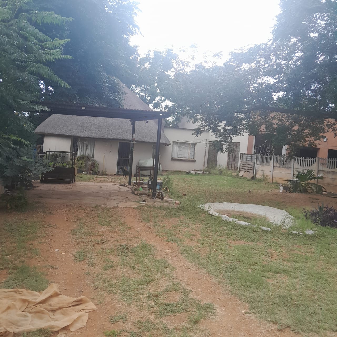 12 Bedroom Property for Sale in Ivydale A H Limpopo