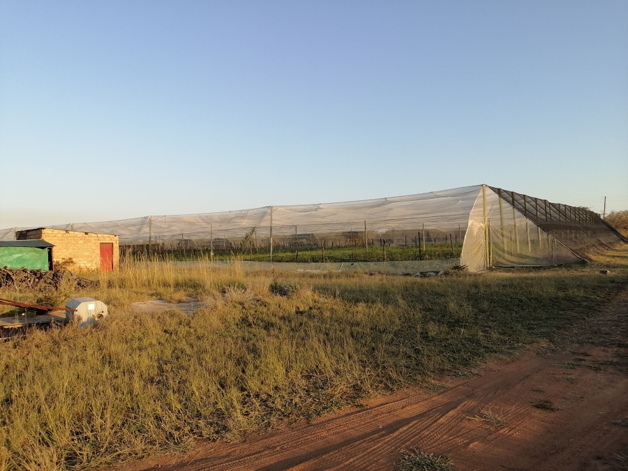 4 Bedroom Property for Sale in Groblersdal Limpopo