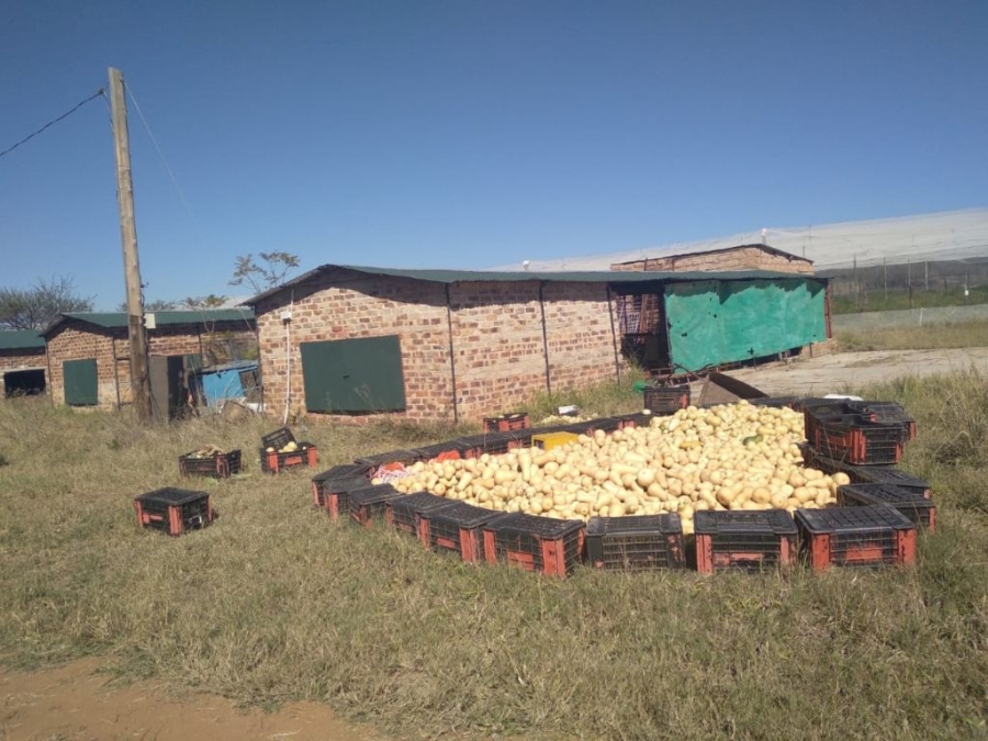 4 Bedroom Property for Sale in Groblersdal Limpopo