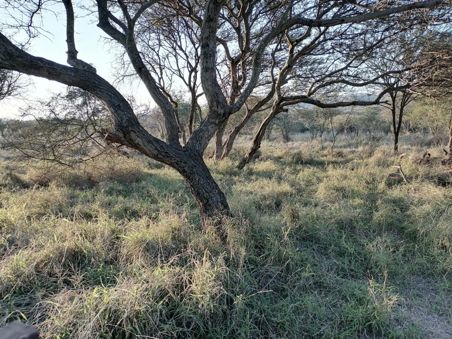 4 Bedroom Property for Sale in Groblersdal Limpopo