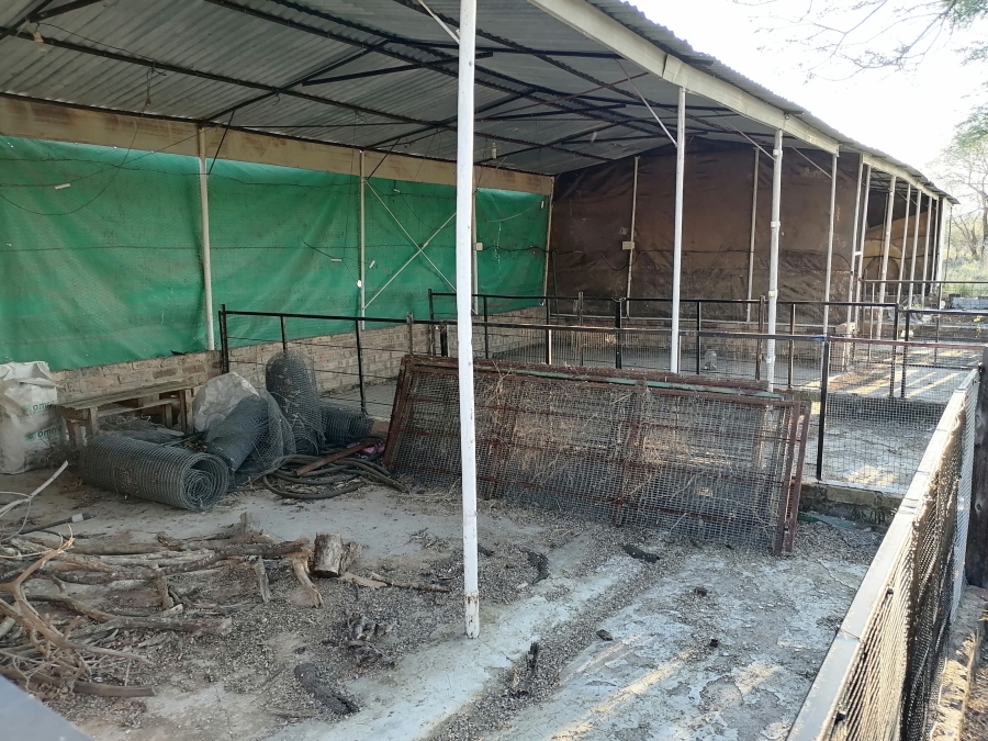 4 Bedroom Property for Sale in Groblersdal Limpopo